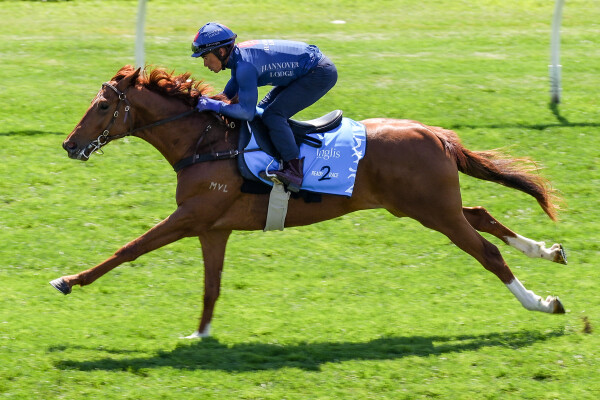 Lot 232: Starspangledbanner / Chalonne Princess