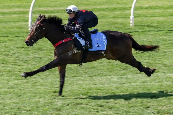 Lot 251: St Mark's Basilica (FR) / Dance With Her