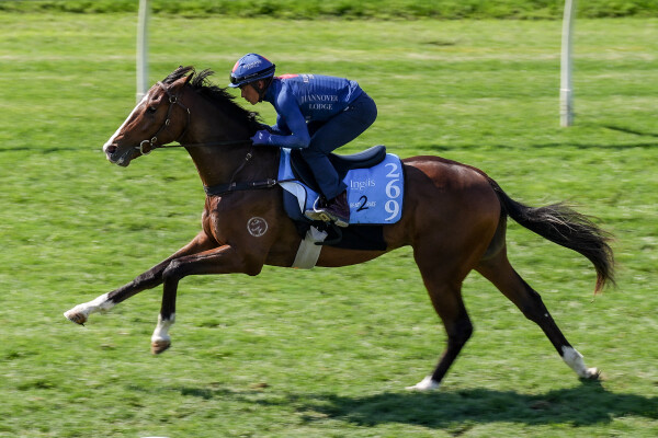 Lot 269: State of Rest (IRE) / Empress Bea