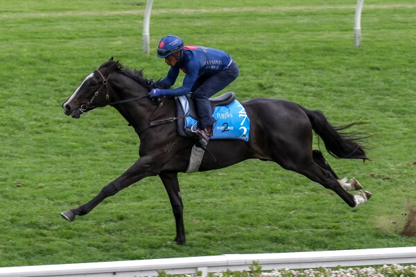 Lot 272: Supido / Escabiar (ARG)
