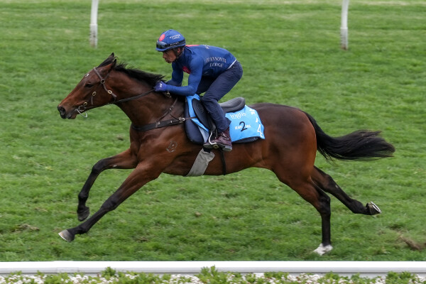 Lot 274: Bivouac / Eyes of Love (NZ)