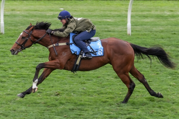 Lot 278: Tassort / First Order