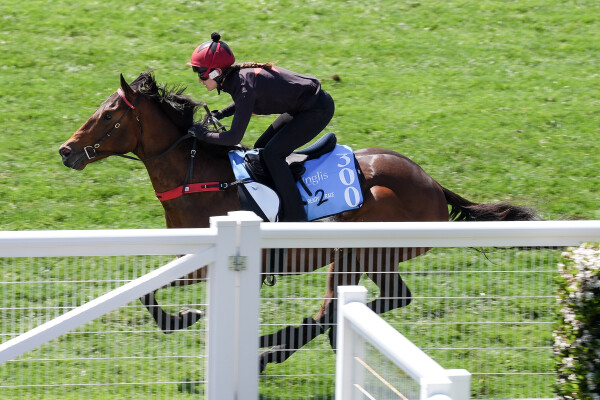 Lot 300: Artorius / Happy Highway