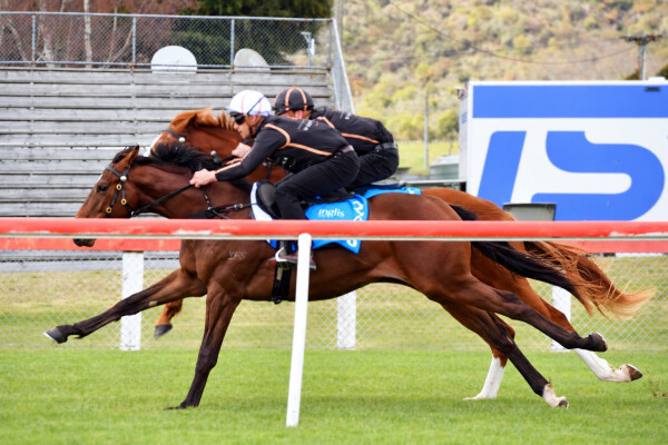 Lot 246: Zousain / Cotillion