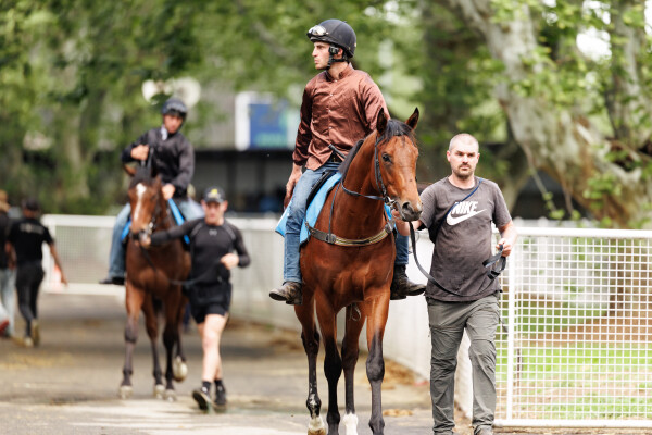 Lot 170: Alabama Express / World Awaits
