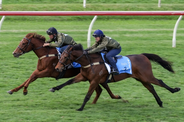 Lot 240: Farnan / Coleraine