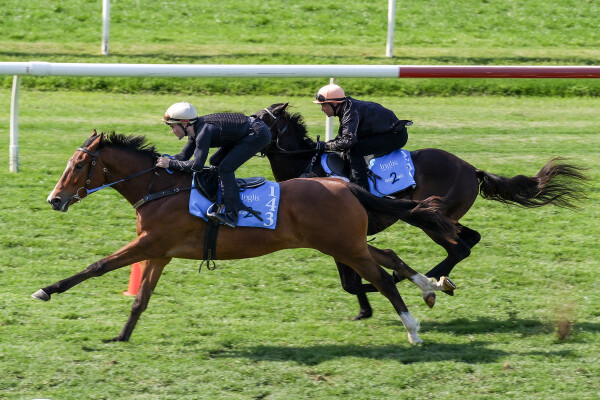 Lot 143: Showtime / Taste of Honey