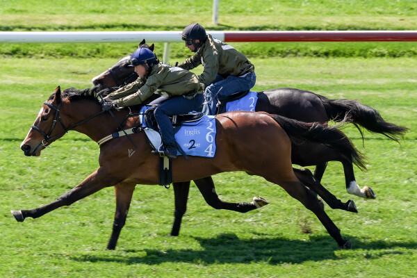 Lot 264: Doubtland / Dual Star