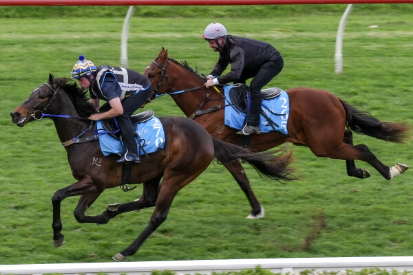 Lot 265: Exceed and Excel / Ektifaa
