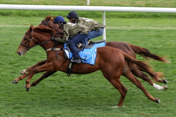 Lot 303: Extreme Warrior / Heart Skipt a Beat