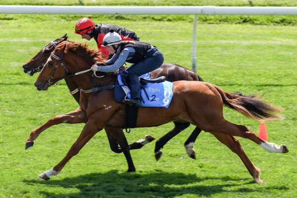 Lot 309: Rich Enuff / Honey Go Lightly