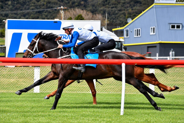 Lot 216: Ardrossan / Boulevard (NZ)