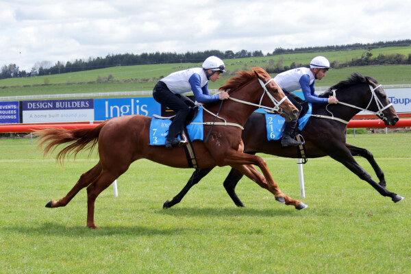 Lot 73: St Mark's Basilica (FR) / Posing (USA)