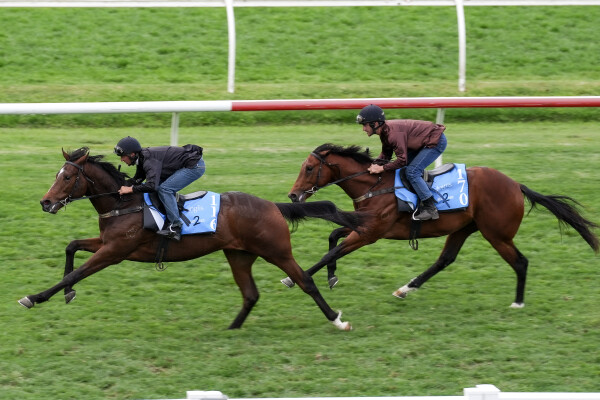Lot 170: Alabama Express / World Awaits