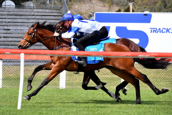 Lot 65: Hellbent / Peindre