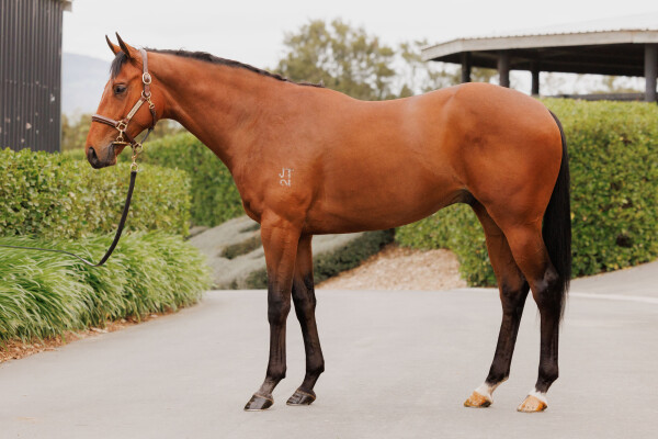 Lot 32: Written By / Lopez