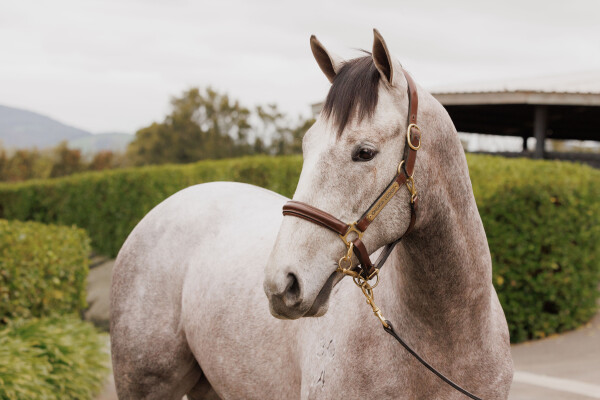 Lot 255: All Too Hard / Deep Sorrow