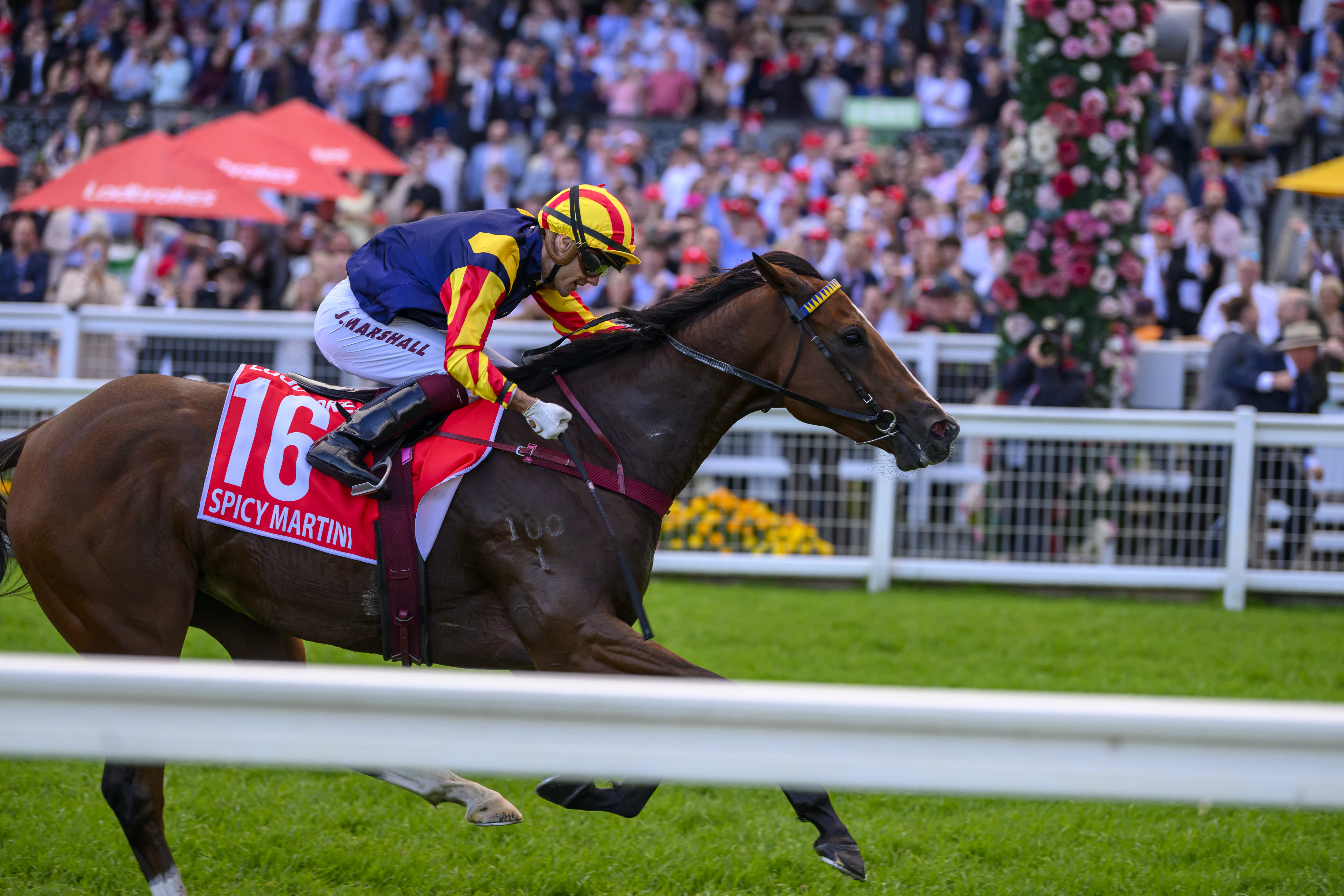 'Fairytale' runner Spicy Martini confirmed for $20m G1 The Everest