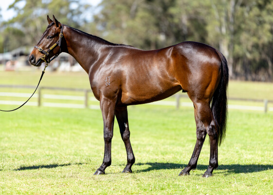 Lot 40: Zoustar / Mary's France (FR)