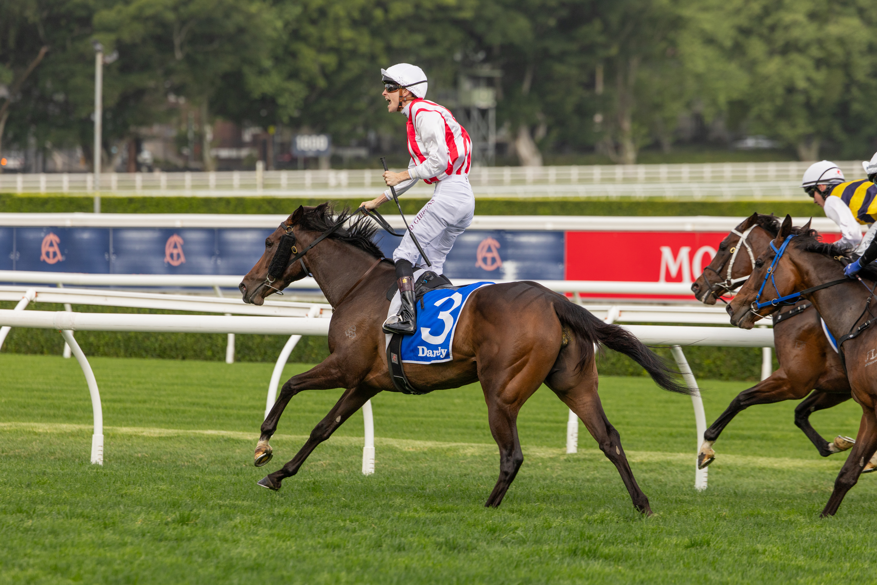 Global Goal wins G1 Flight Stakes at just her fourth career start