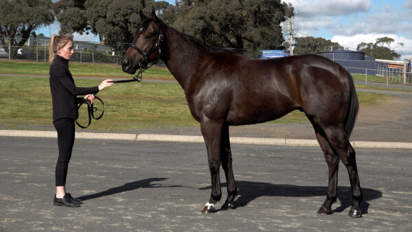 Lot 213: Capitalist / Blowing Kisses