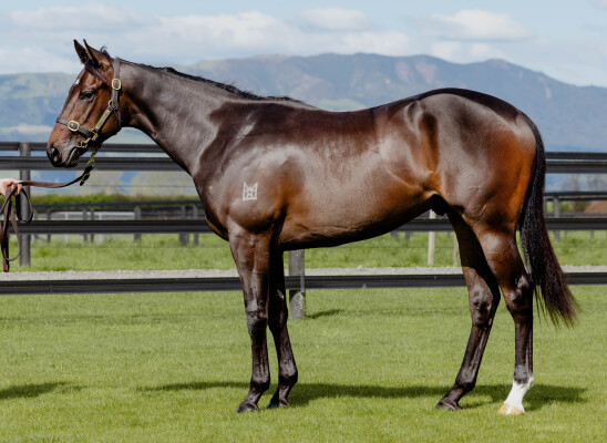 Lot 53: Cosmic Force / Munjai