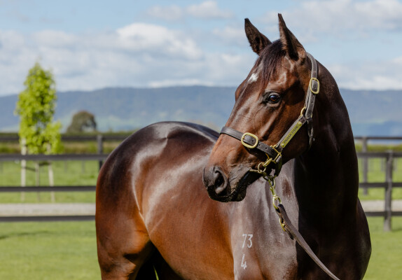 Lot 53: Cosmic Force / Munjai