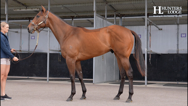 Lot 15: Ardrossan / La Bella Beals