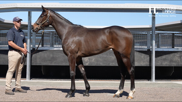 Lot 151: Zoustar / Toryjoy