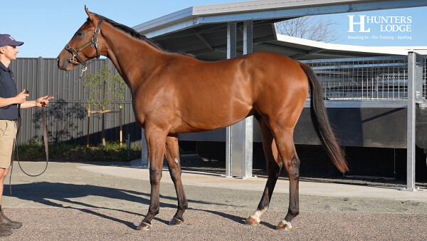 Lot 156: Portland Sky / Tumbler