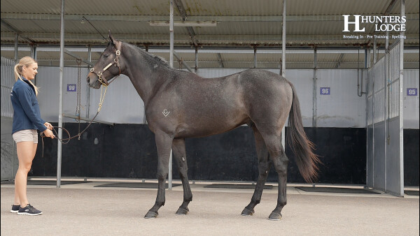 Lot 312: Exceed and Excel / I Spy