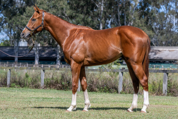 Lot 13: Stronger / Kiss Hello