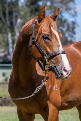 Lot 13: Stronger / Kiss Hello