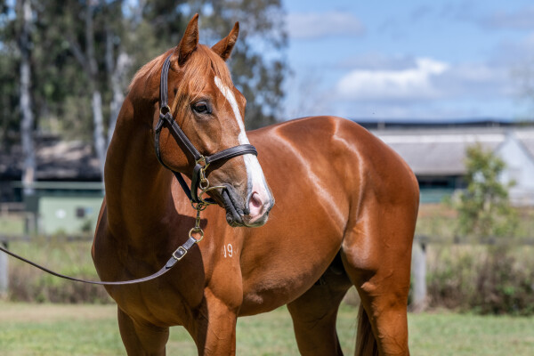 Lot 13: Stronger / Kiss Hello