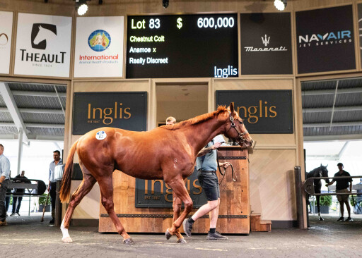 Wow! Inglis Ready2Race Sale soars to new heights