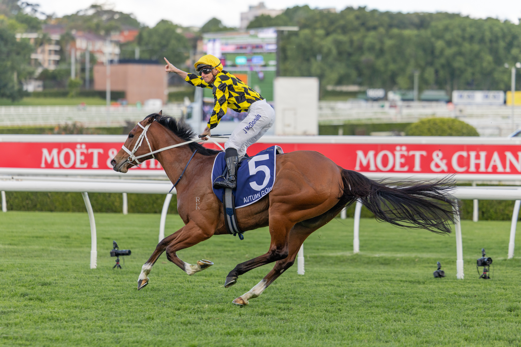 Autumn Glow trounces rivals in G1 King Charles III victory
