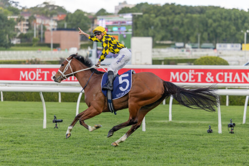 Autumn Glow trounces rivals in G1 King Charles III victory