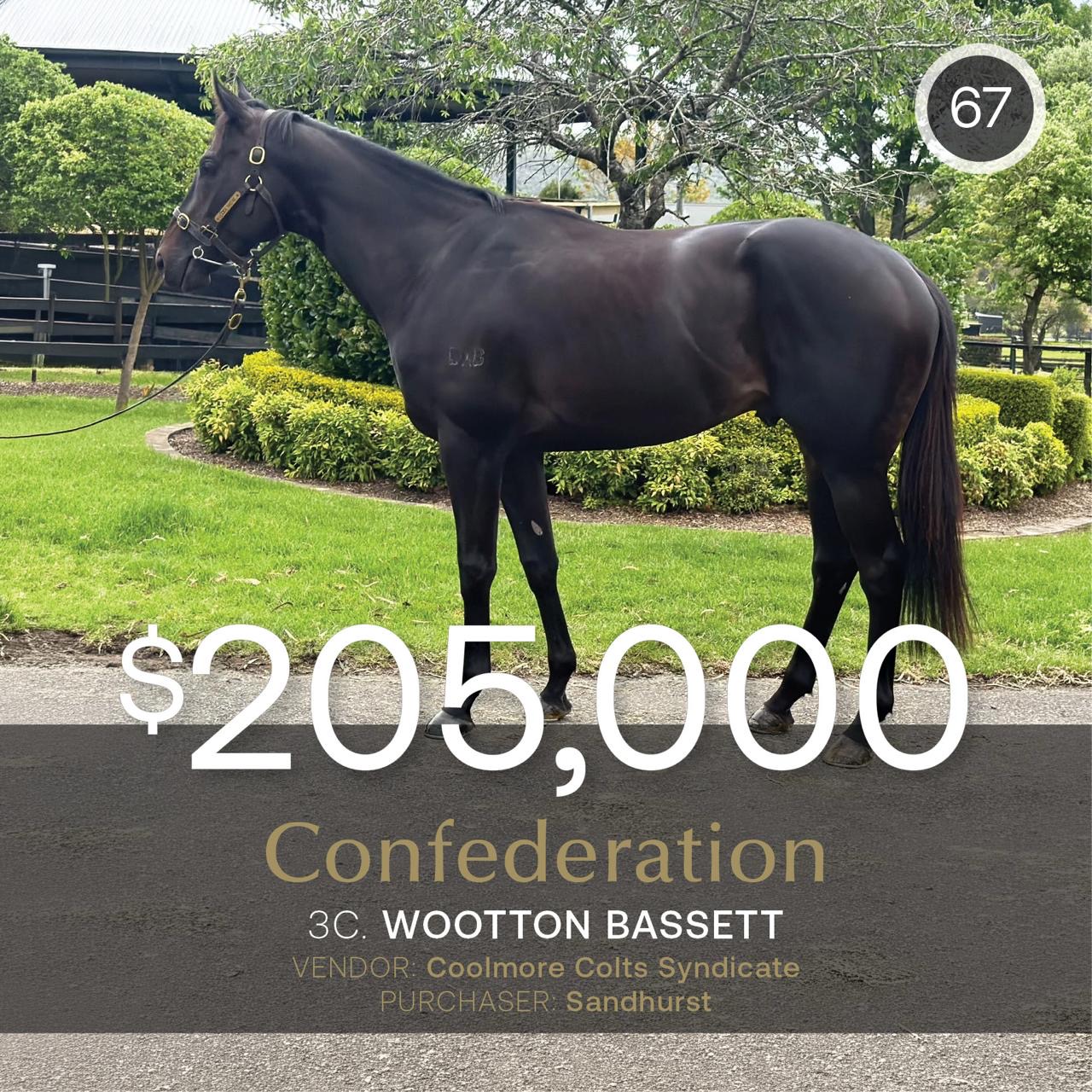 Confederation tops Oct (Late) Sale at $205,000