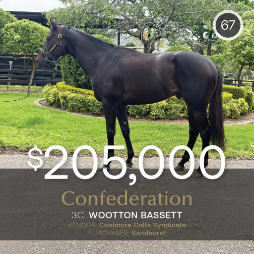 Confederation tops Oct (Late) Sale at $205,000