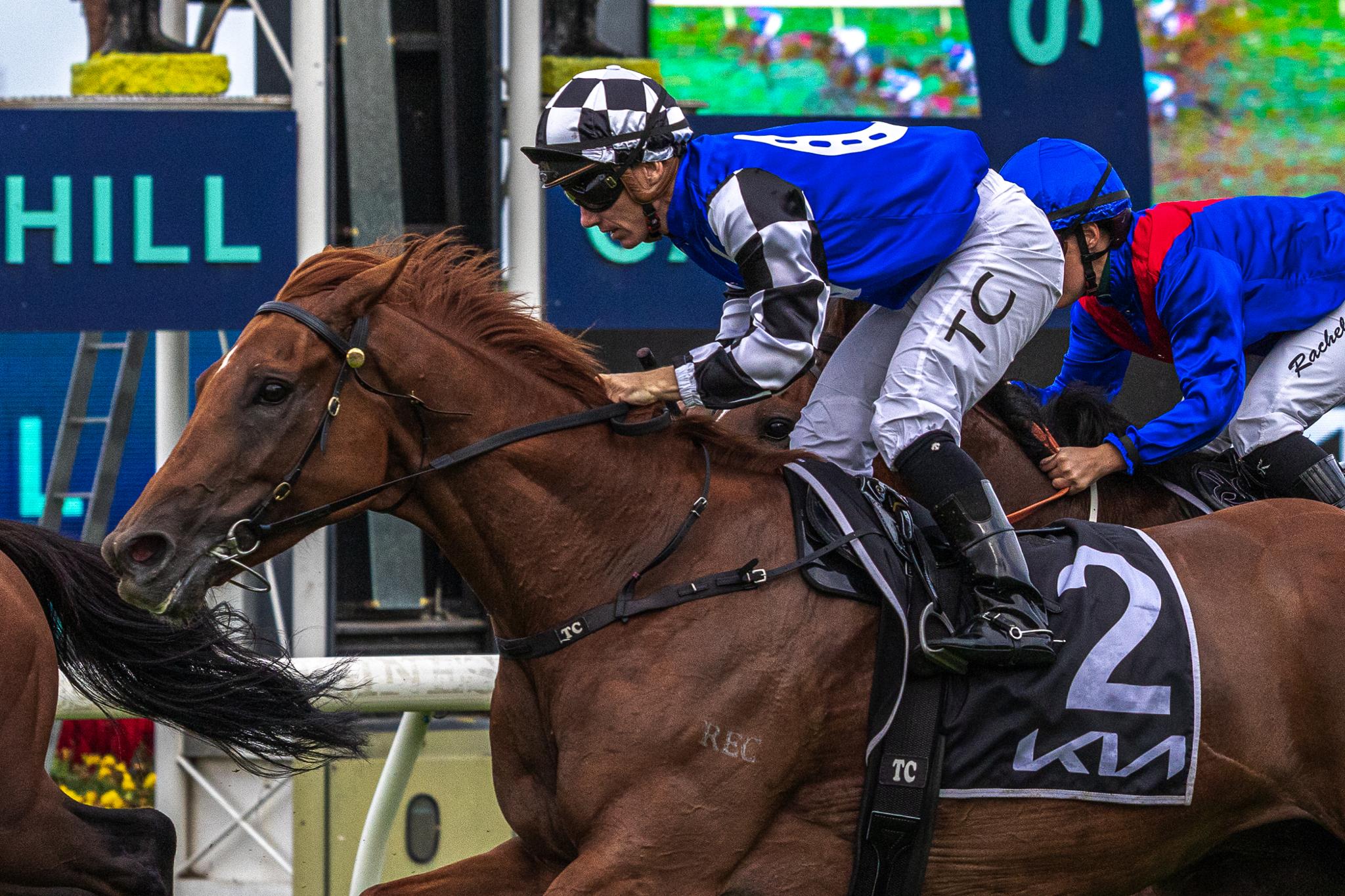 Shares in Cup contenders on offer in select Inglis Digital sale