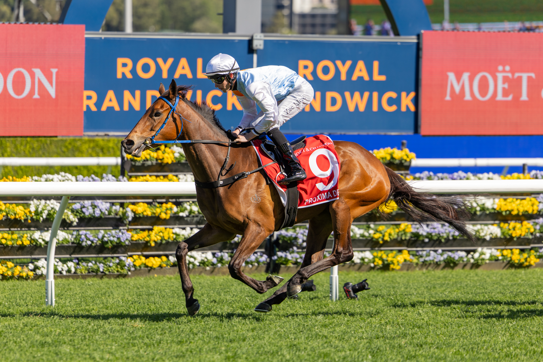 Proxima Dea remains undefeated to win G1 Spring Champion