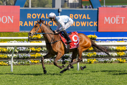 Proxima Dea remains undefeated to win G1 Spring Champion