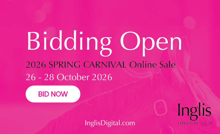 Spring Carnival Sale Open for Bidding