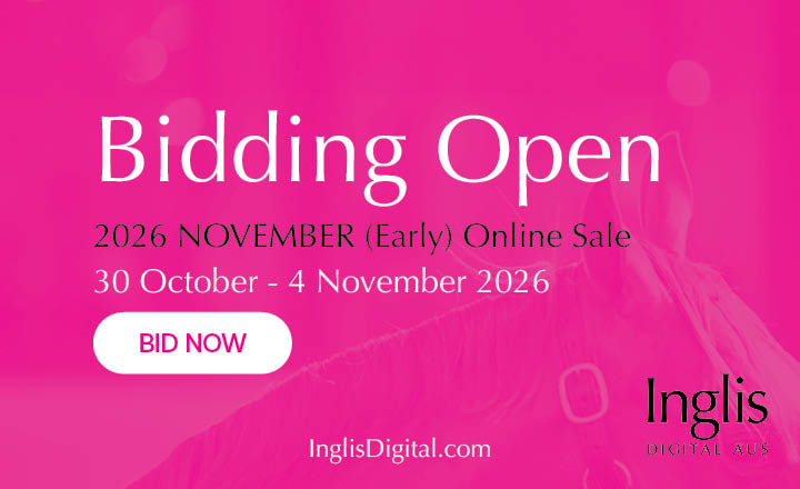 November (Early) Open for Bidding