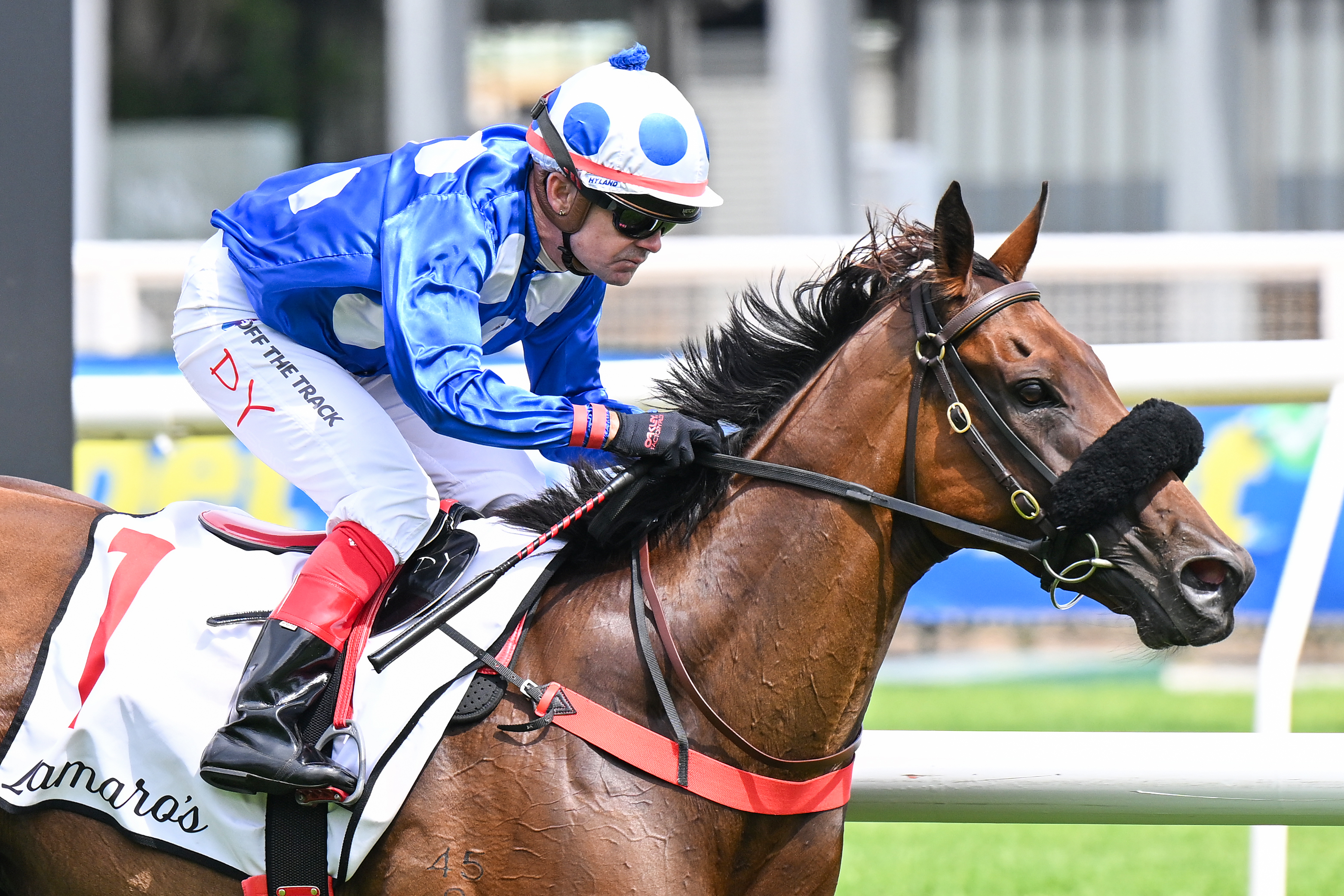 Godolphin draft among leading lots in November (Early) Sale