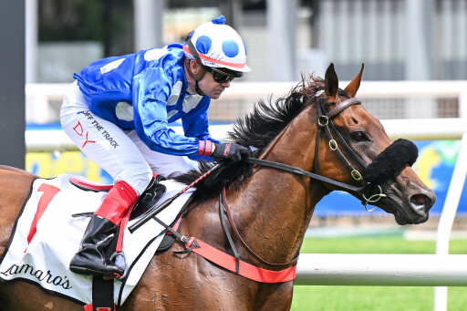 Godolphin draft among leading lots in November (Early) Sale