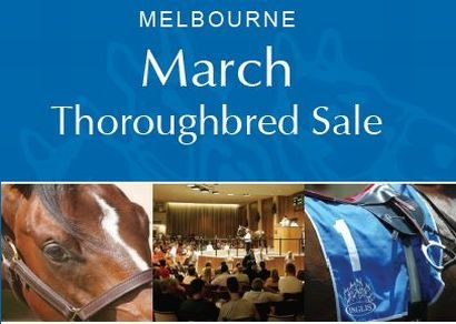 Supplementary entries closing for Melbourne March Thoroughbred Sale