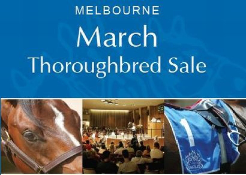 Supplementary entries closing for Melbourne March Thoroughbred Sale