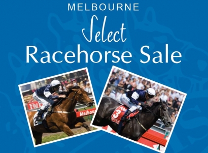 Melbourne Select Racehorse Sale catalogue online