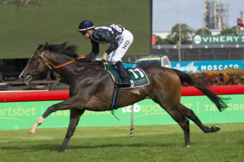 Carmody On A High With Single